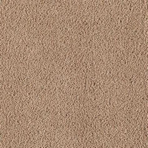 Lifeproof Carpet Sample Wesleyan I Color Fired Clay Texture 8 In X