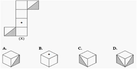 Dice Reasoning Practice Questions With Answers Hitbullseye