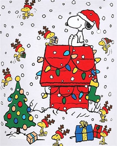 Pin By Patti Noonan On The Peanuts Gang Snoopy Snoopy Christmas