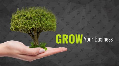How To Grow Your Business With Digital Marketing Think Expand Ltd