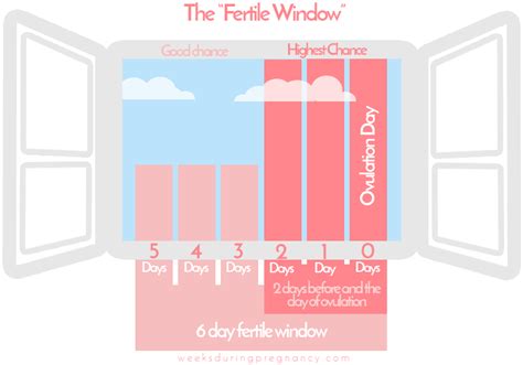 Ovulation Calculator Calculate Your Ovulation Date And Fertile Window