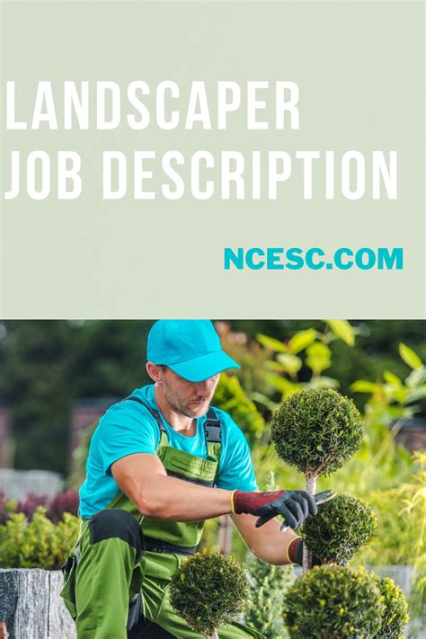 Landscaper Job Description What Does A Landscaper Do