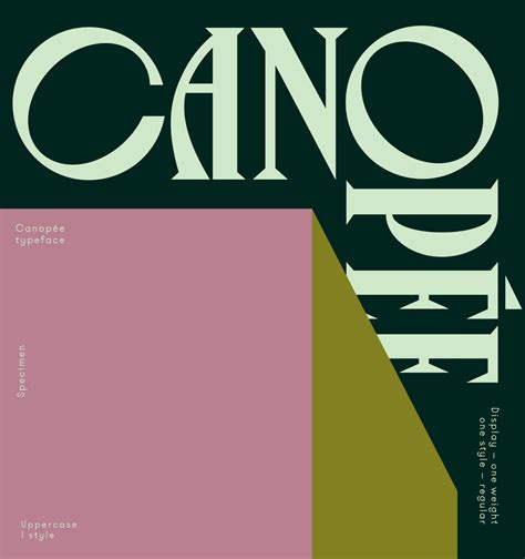 Canopée Typeface Violaine Et Jérémy Typography Graphic Graphic