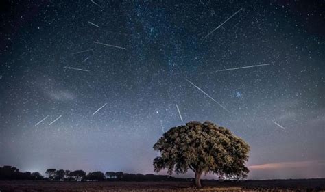 Perseid Meteor Shower Tonight Can I Still See The Perseids Science