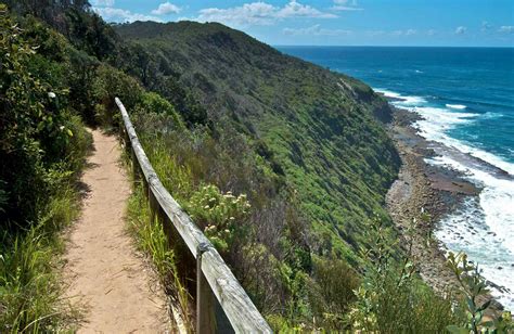 The Coast Walking Track Nsw Holidays And Accommodation Things To Do