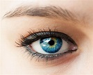 Super Fascinating Facts About The Human Eye You Probably Don't Know ...