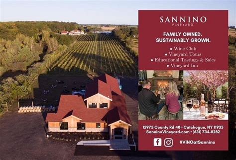 Sannino Vineyard Cutchogue All You Need To Know Before You Go