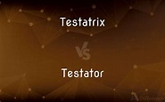 Testatrix vs. Testator — What’s the Difference?