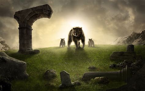 Hd Wallpaper A Killer Angry Back Off Furry Animals Bears Hd Art Mad