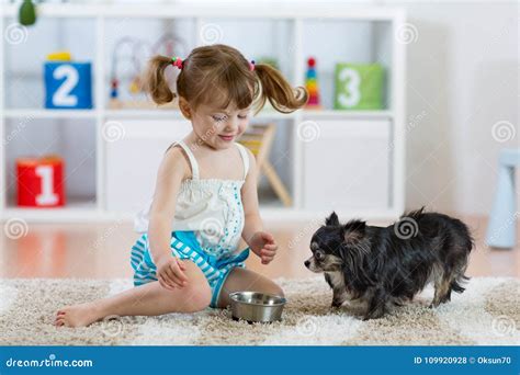 Adorable Little Girl Feeding Cute Dog Stock Photo Image Of Help