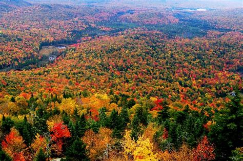 Best Time To See New York Fall Foliage Best Fall Foliage In New York