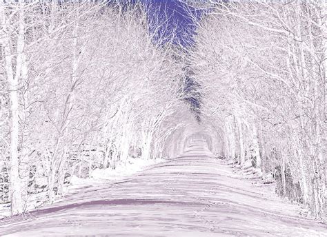 Katy Trail Snowfall Photograph By Harry Enderle Fine Art America