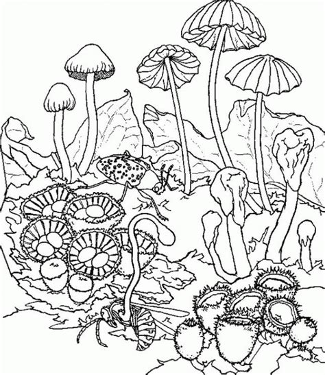 Download and print these printable trippy coloring pages for free. Trippy Printable Coloring Pages - Coloring Home