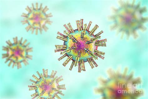 Herpes Simplex Virus Photograph By Kateryna Konscience Photo Library