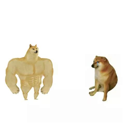Muscel Doge And Cheems Template
