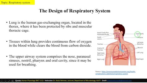 Respiratory System Mlt 111 Lecture 3 Part A By Drabdul