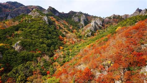 Shodoshima Et La Gorge De Kankakei Destination Japon