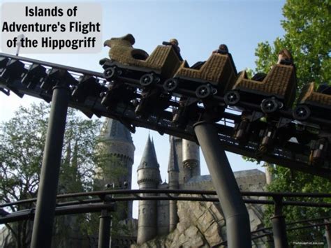 Flight Of The Hippogriff The Wizarding World Of Harry Potter