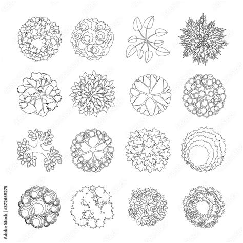 Vector Set Trees Bushes And Plants Top View Collection For