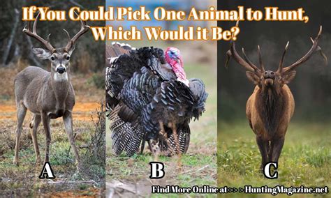 Hunting Meme If You Could Pick One Animal To Hunt Hunting Magazine