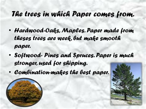 Ppt How Paper Is Made From Trees Powerpoint Presentation Free