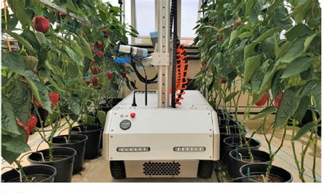A Sweet Pepper Harvesting Robot For Protected Cropping Environments