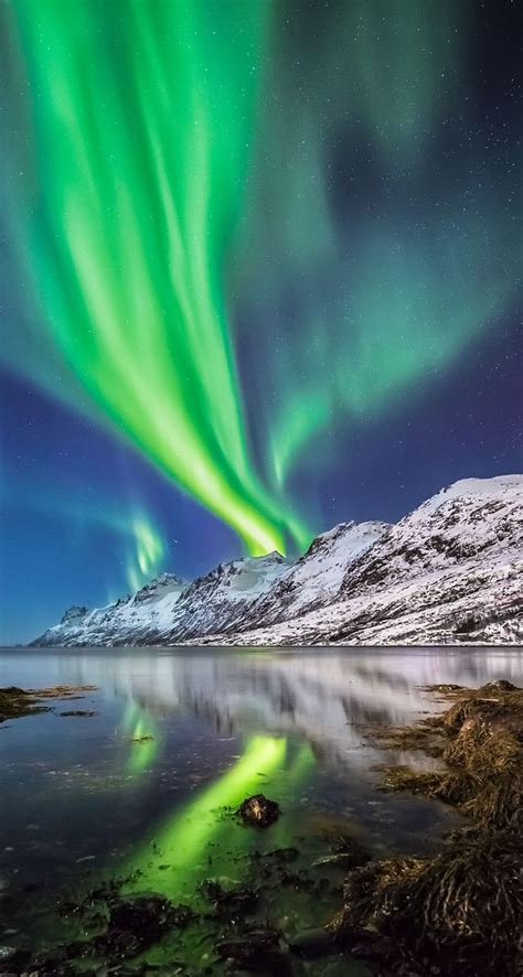 Priority pass вход в клуб без очереди. Aurora Borealis in Norway - The iPhone Wallpapers
