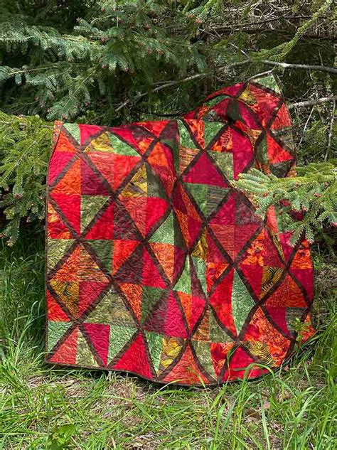 Under The Canopy Quilt Anptmag