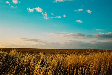 Blue Sky Farm Field Summer Royalty Free Photo