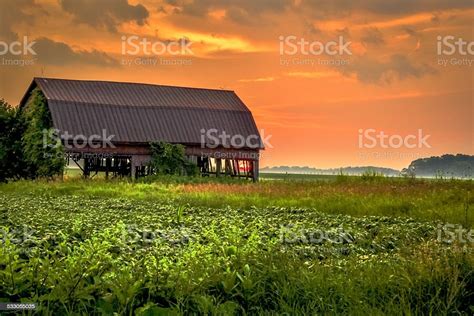 Barn At Sunset In Americas Midwestern Farmland Stock Photo Download