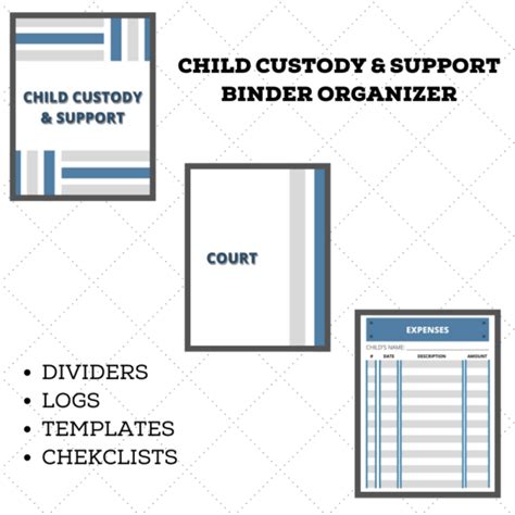 Child Custody And Support Binder Organizer Next With Lena Nguyen