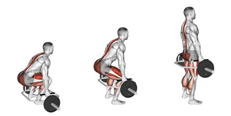 Trap Bar Deadlifts Benefits Muscles Worked And More Inspire Us
