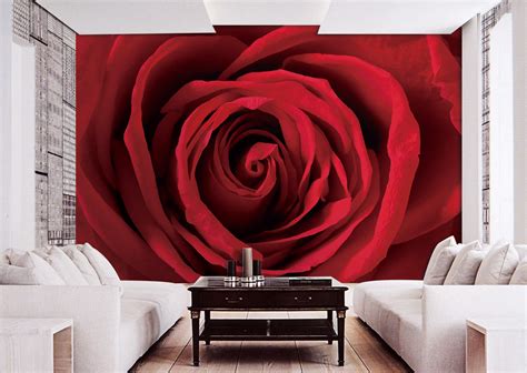 Red Rose Wall Mural Ds8197 Full Size Large Wall Murals The Mural Store