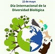 22 de Mayo – Día Mundial de la Biodiversidad – ESPACIOTECA