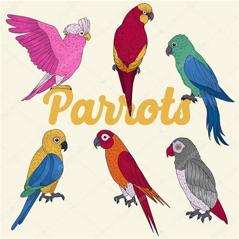 Exotic Parrots Hand Drawn Illustration In Vector Stock Vector Image By
