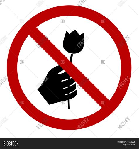 Dont Pick Flower Sign Vector And Photo Bigstock