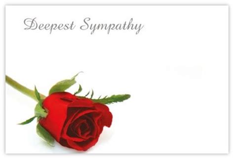 Deepest Sympathy Red Rose 60mm X 90mm Oasis® Florist Cards