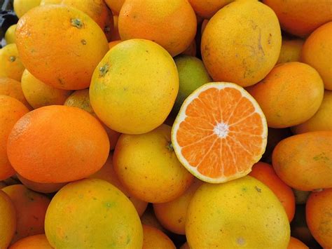 Orange Fruit Biological Yellow Free Photo On Pixabay Pixabay