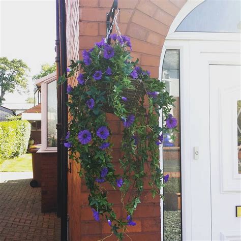 If you're looking for an outdoor tree, remember to look for indoor/outdoor or uv resistant words in the title. Our artificial morning glory hanging basket | Hanging ...