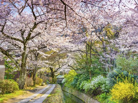 The Best Time To Visit Japan A Month By Month Guide