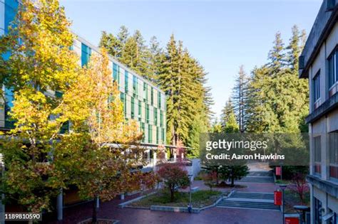 Uc Santa Cruz College Photos And Premium High Res Pictures Getty Images