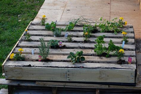 Check spelling or type a new query. How to Plant an Herb Garden in a Salvage Wood Pallet | how ...