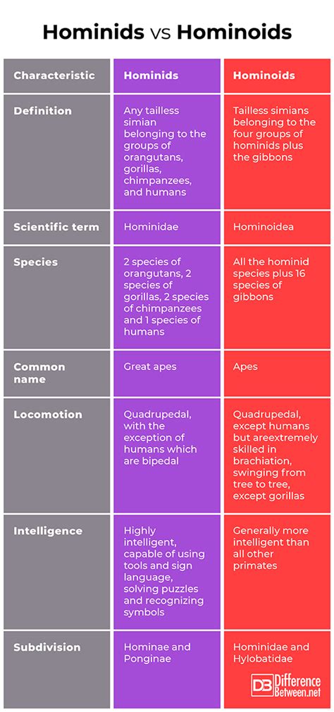 Difference Between Hominids and Hominoids | Difference Between