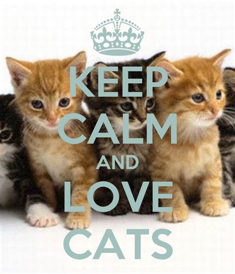 Keep Calm And Love Cats Poster Abby Keep Calm O Matic