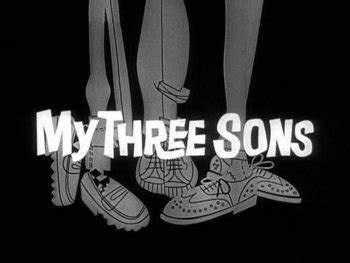 My Three Sons Series Tv Tropes