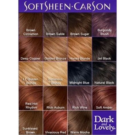 55 Hq Images Black Hair Color Chart The Best Hair Color Chart With