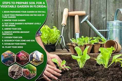 How Do You Prepare Soil For A Vegetable Garden In Florida