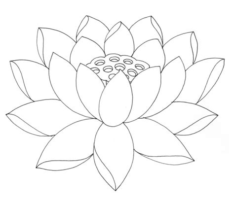 Lotus Blossom Coloring Page Download Print Or Color Online For Free