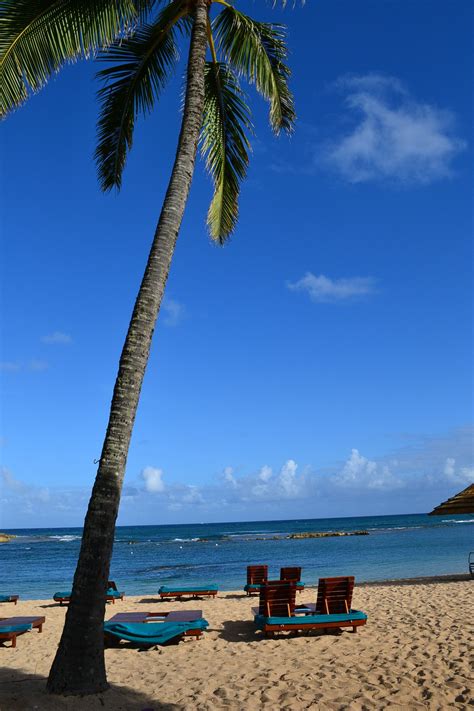 Tropical Paradise | Tropical paradise, Dream vacations, Paradise found