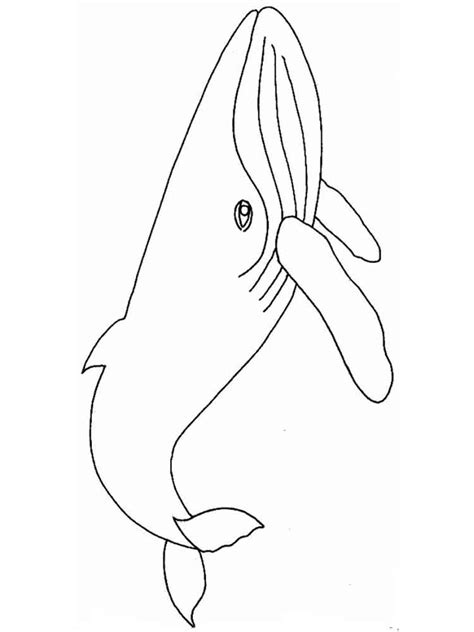 Whales Coloring Pages Download And Print Whales Coloring